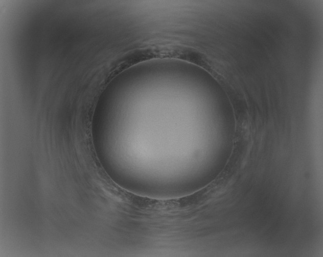 X0000051880865200506241411