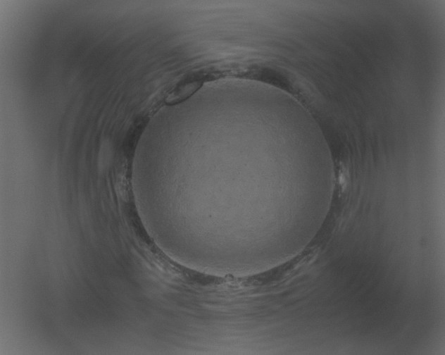 X0000051880867200506241411