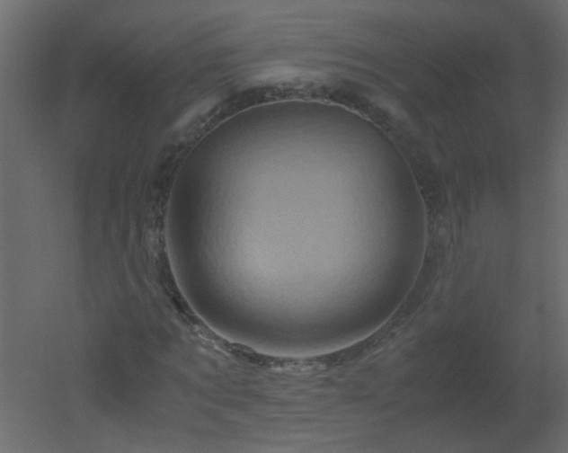 X0000051880869200506241411