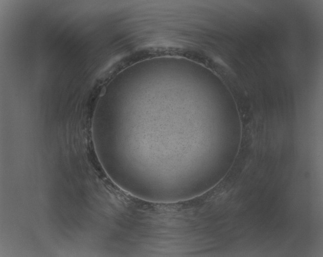 X0000051880870200506241411