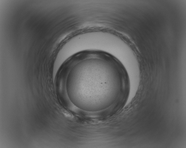 X0000051880871200506241411