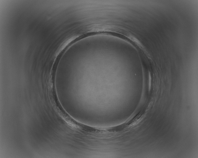 X0000051880885200506241410