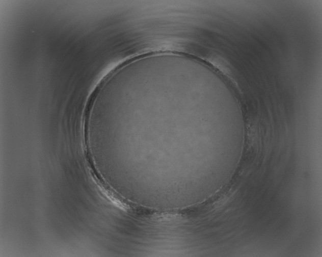 X0000051880886200506241410