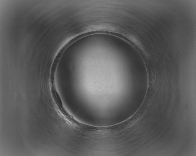 X0000051880888200506241410