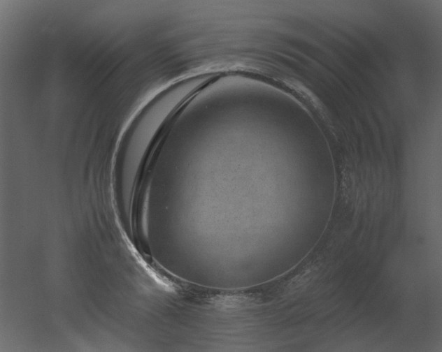 X0000051880894200506241410