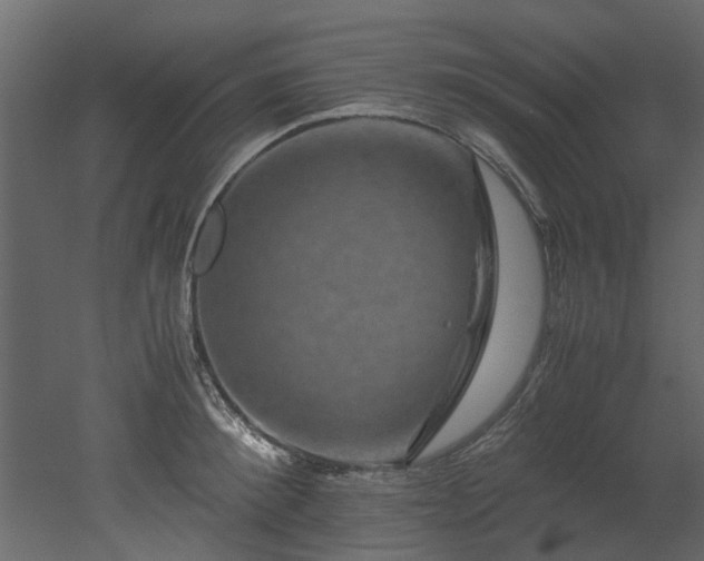 X0000051880900200506241410