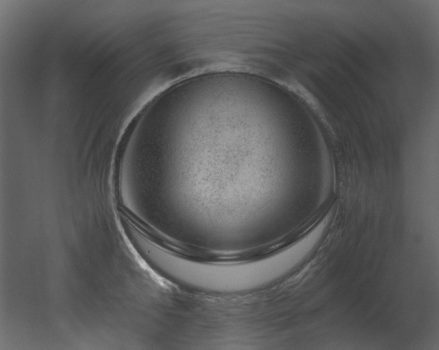 X0000051880902200506241410