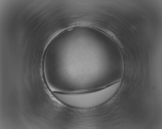 X0000051880904200506241410