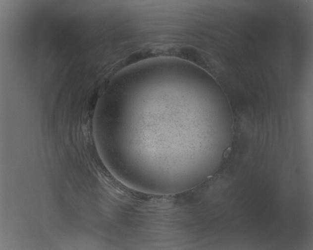 X0000051880914200506241409