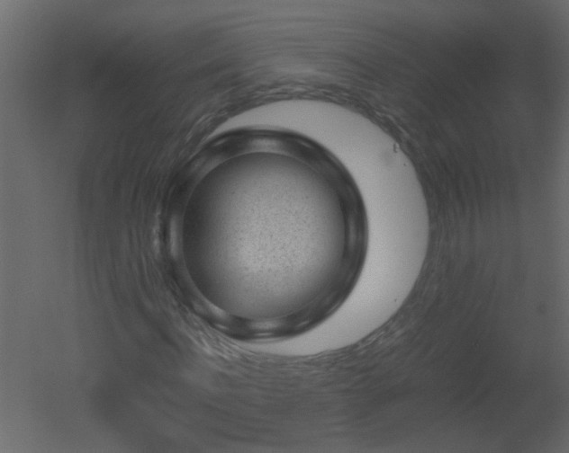 X0000051880916200506241409