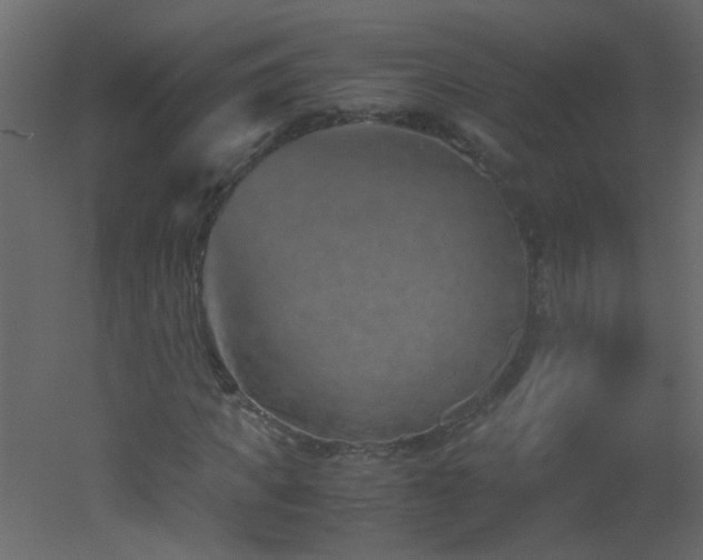 X0000051880917200506241409