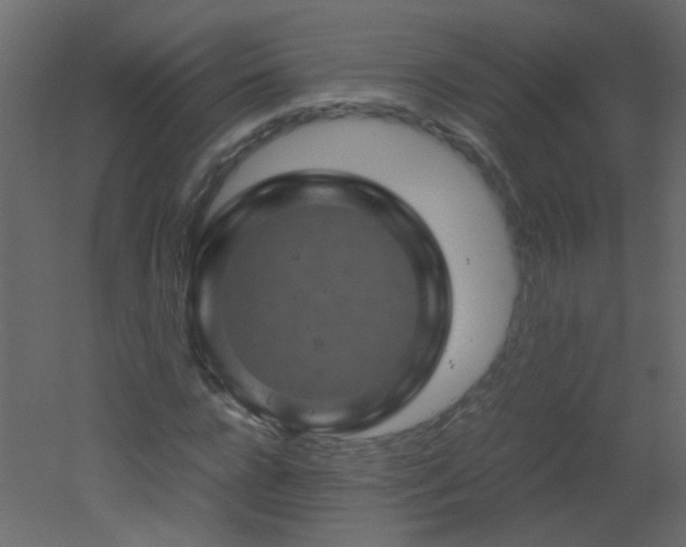X0000051880920200506241409