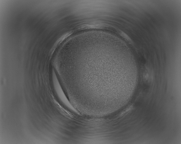X0000051880930200506241409