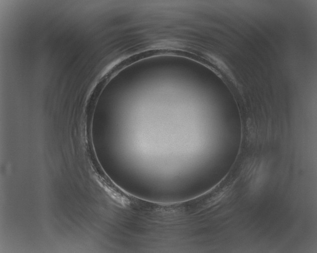 X0000051880931200506241409