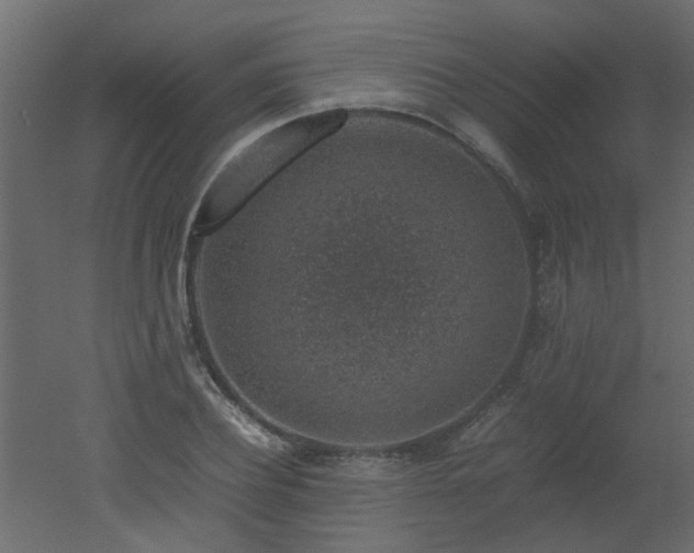X0000051880932200506241409