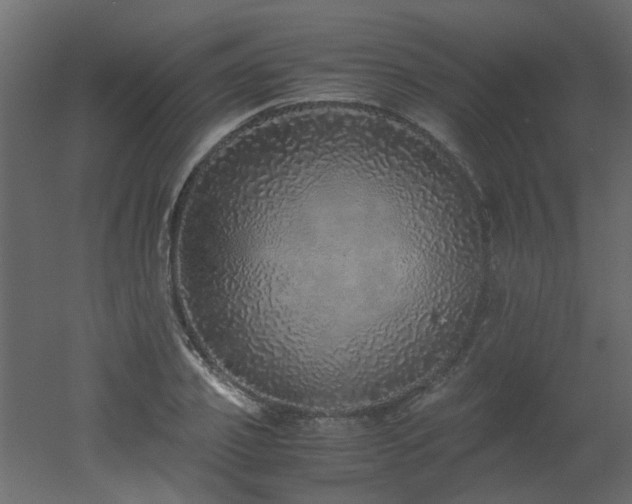 X0000051880933200506241409