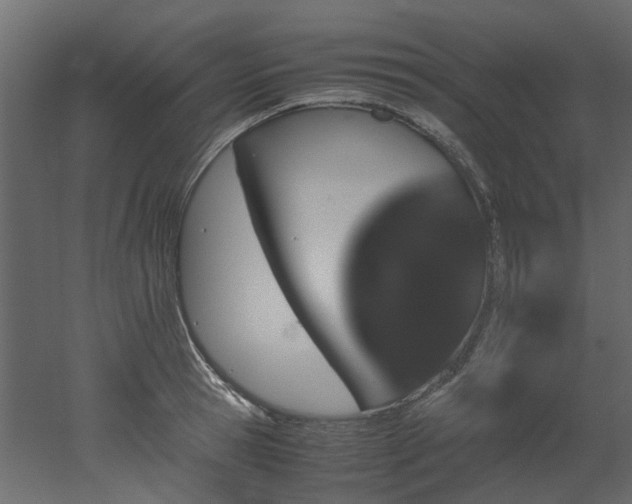 X0000051880945200506241410