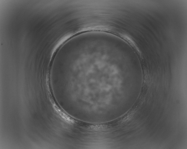 X0000051880952200506241410