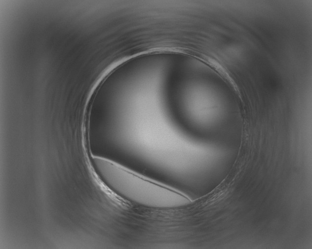 X0000051880955200506241410