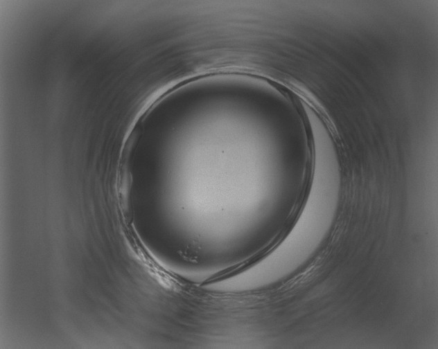 X0000051880956200506241410