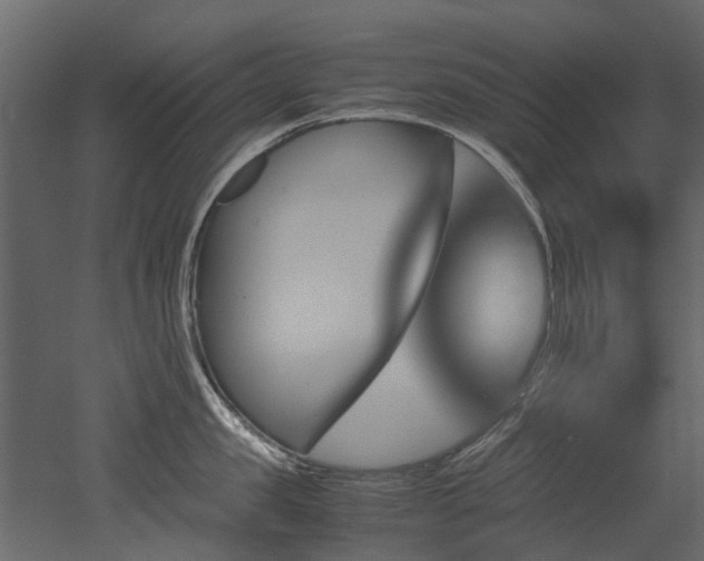 X0000051880957200506241410