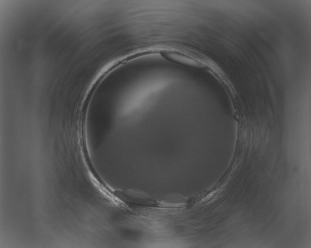 X0000051880958200506241410