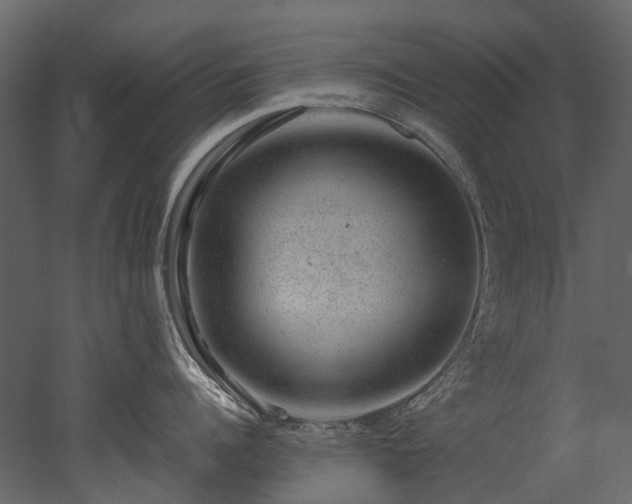 X0000051880960200506241410