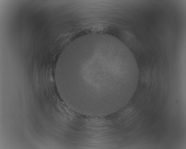 X0000051880962200506241409