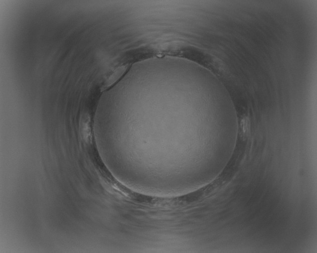 X0000051880963200506241409