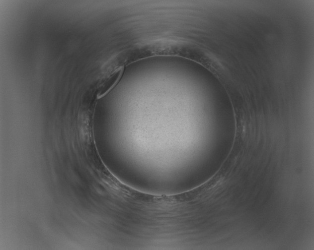 X0000051880964200506241409