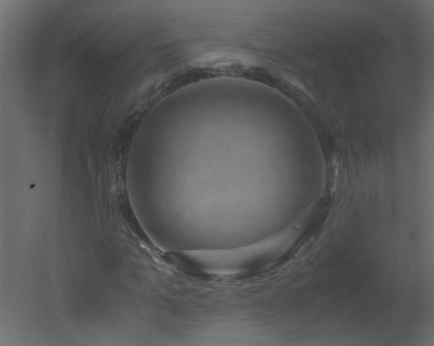 X0000051880965200506241409