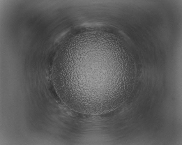 X0000051880966200506241409