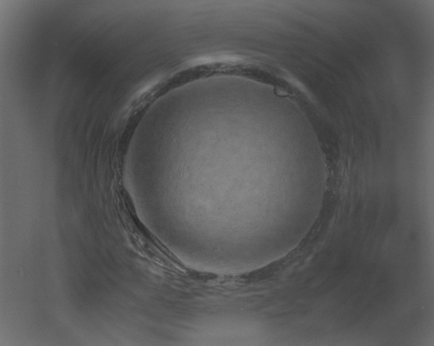 X0000051880967200506241409