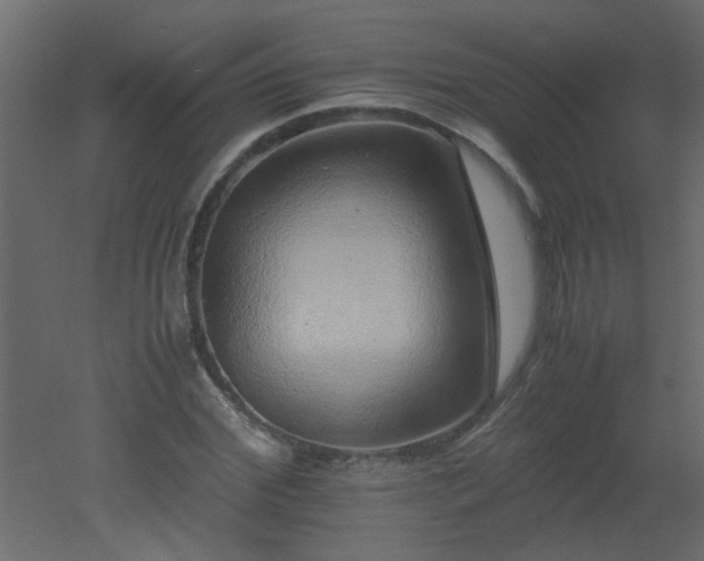 X0000051880972200506241409