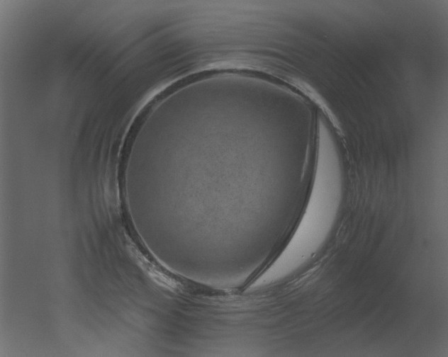 X0000051880980200506241409