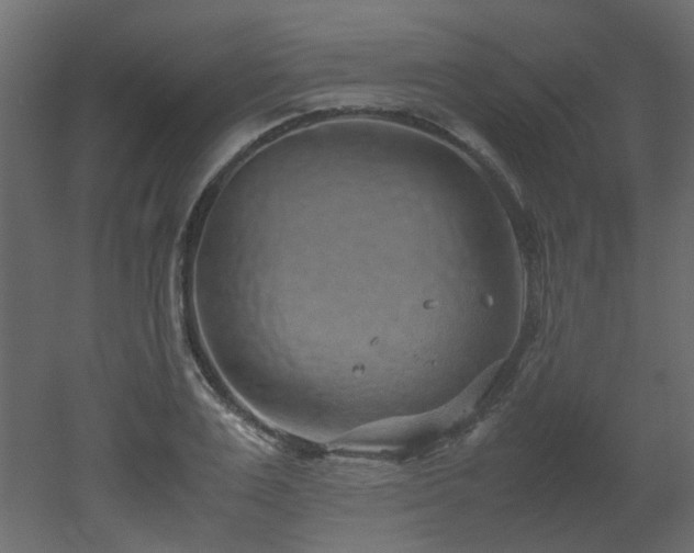 X0000051880983200506241409
