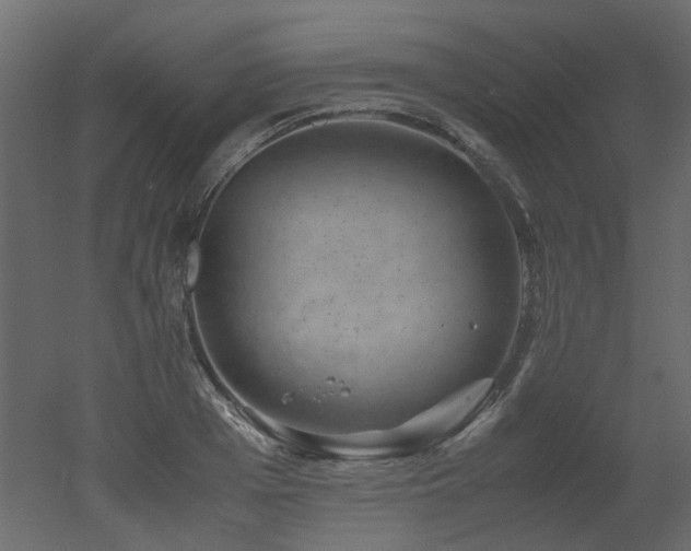 X0000051880985200506241409