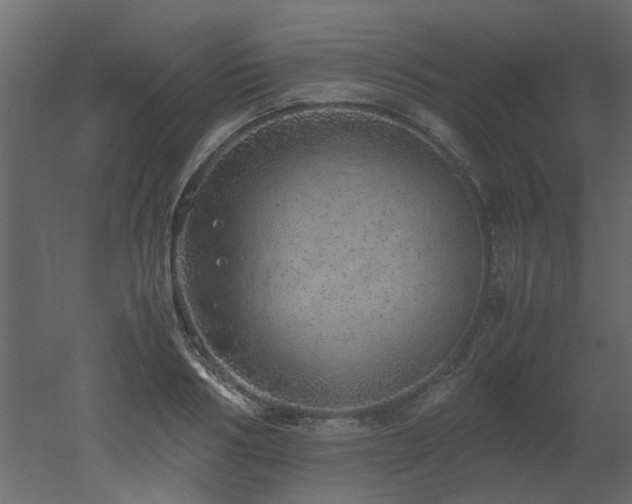 X0000051880986200506241409