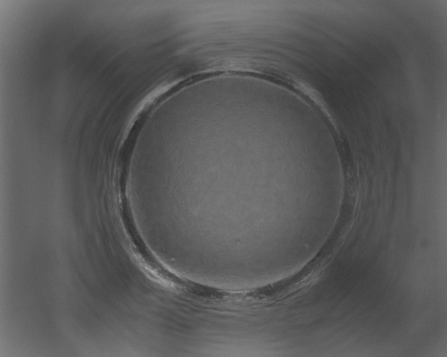 X0000051880987200506241409