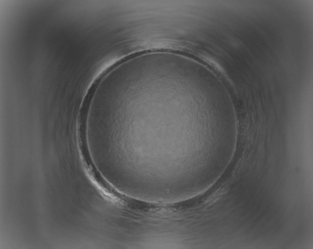 X0000051880991200506241409