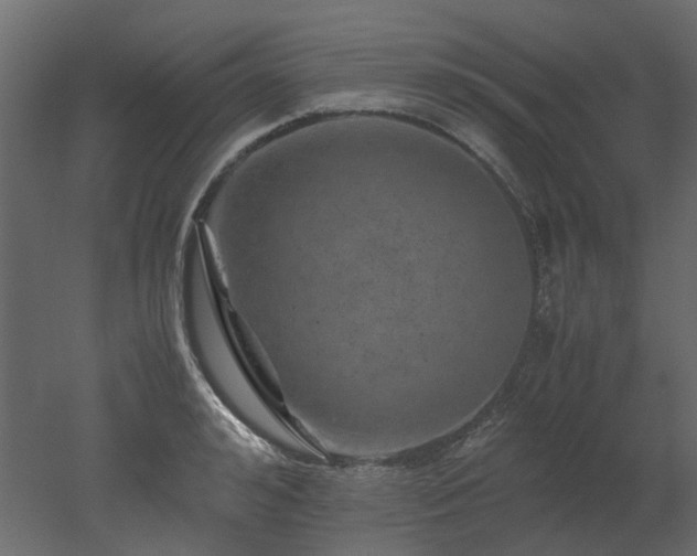 X0000051880992200506241409