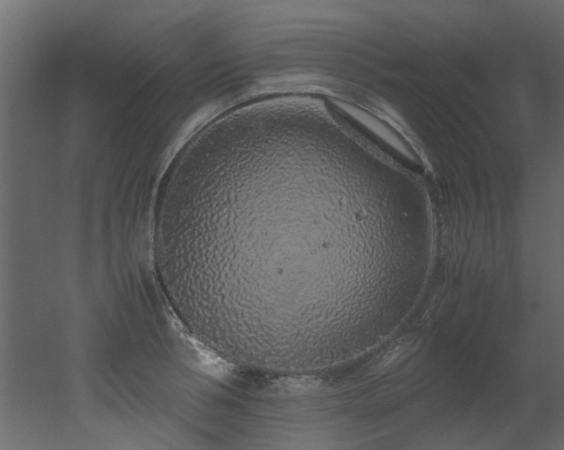 X0000051880994200506241409
