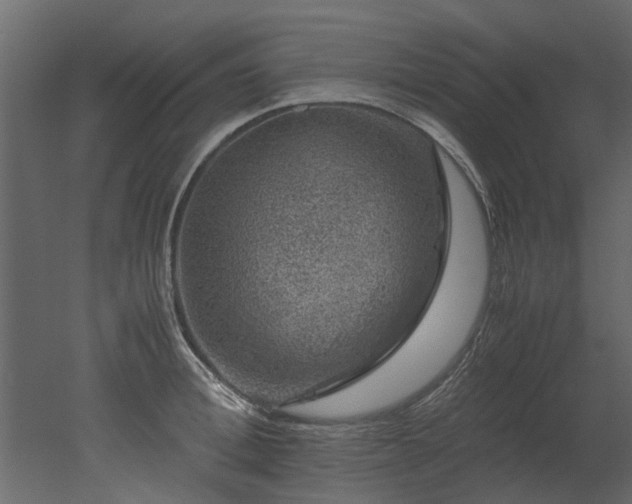 X0000051880996200506241409