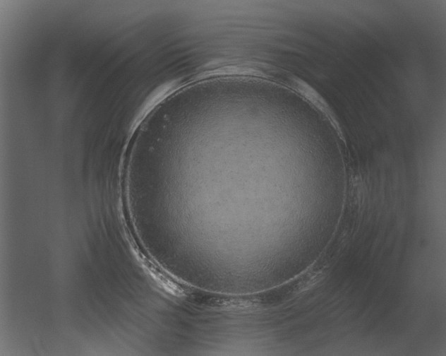 X0000051881002200506241408