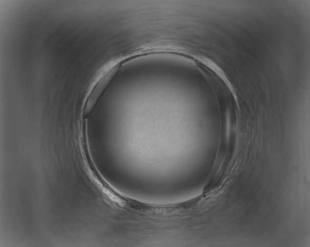 X0000051881005200506241408