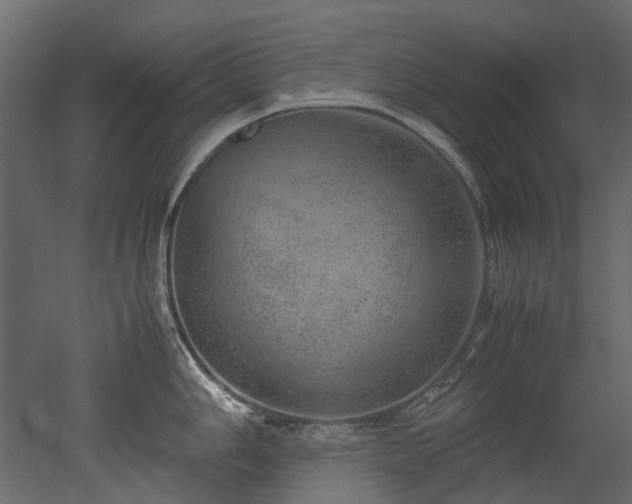 X0000051881006200506241408