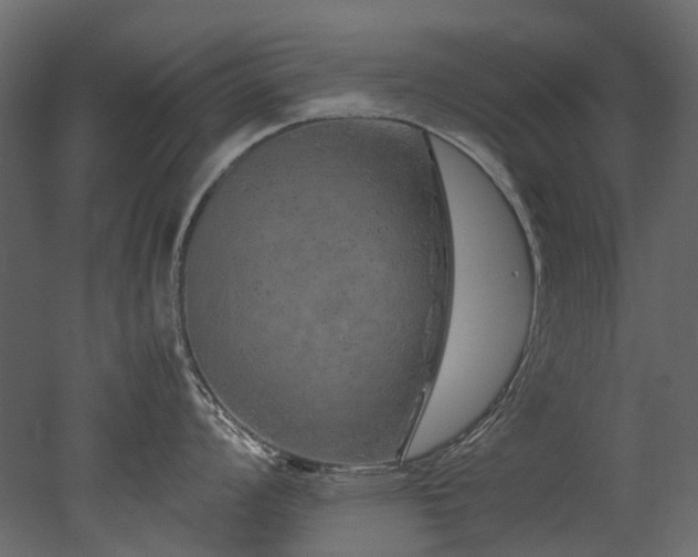 X0000051881008200506241408