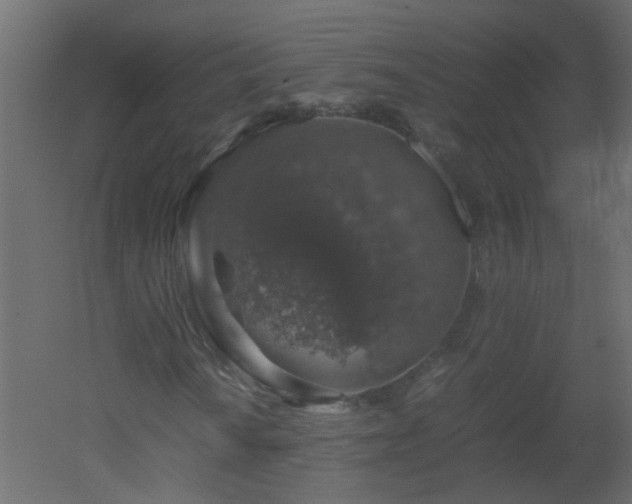 X0000051881010200506241408