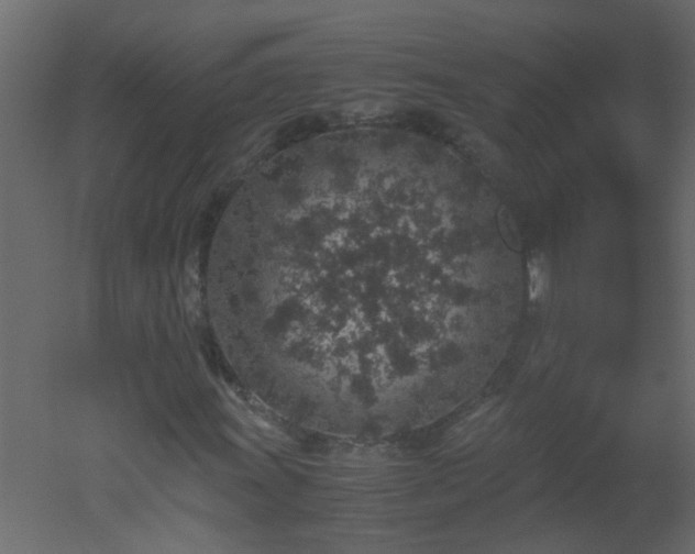 X0000051881011200506241408