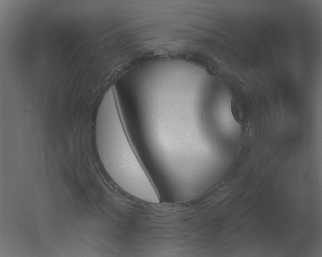 X0000051881012200506241408